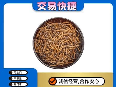徐州沛县高价回收散虫草